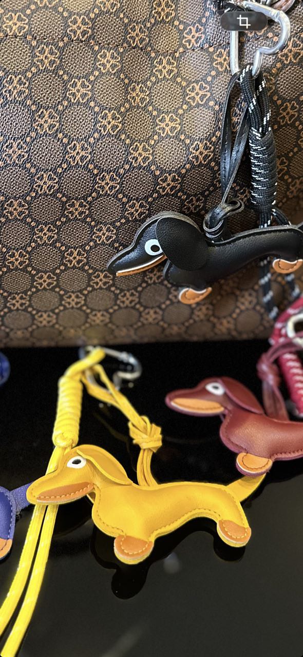 porte-cles avec charm teckel